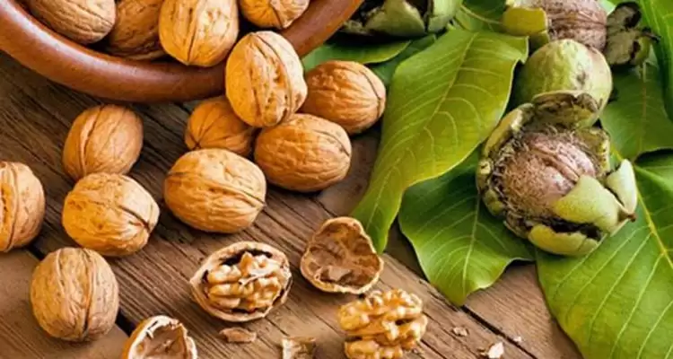Названі продукти, які знижують ризик передчасного старіння