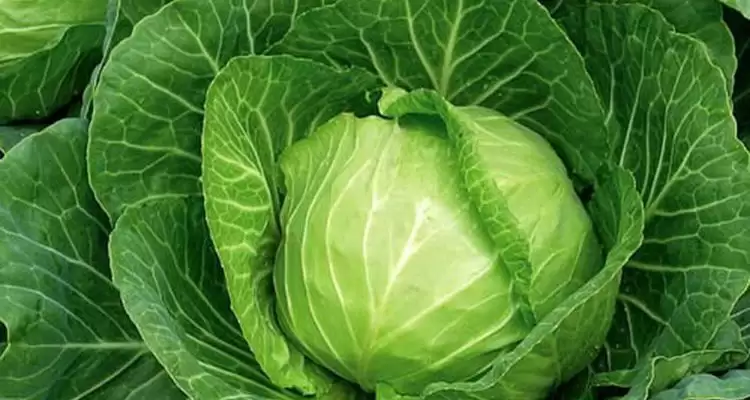 Найбільш корисні продукти для підтримки здорової функції печінки