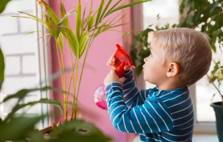 Названі кімнатні рослини, які є отруйними для дітей