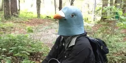 Вчений цілий рік носив гігантську маску птаха, щоб обдурити пернатих: результат експерименту (фото)