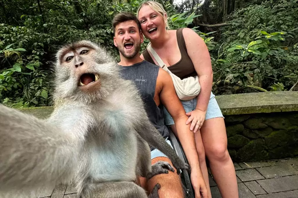 Мавпа зробила селфі з приголомшеними туристами – кумедне фото