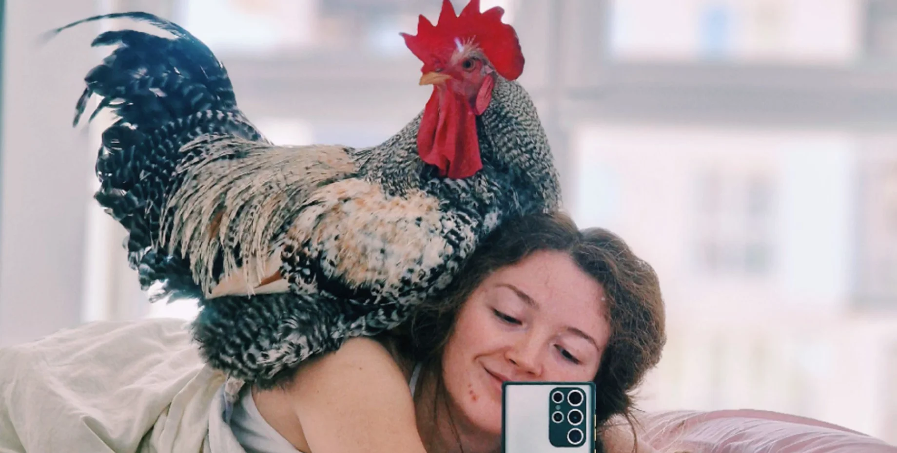 Замість кота чи собаки: українка тримає в будинку справжнього півня