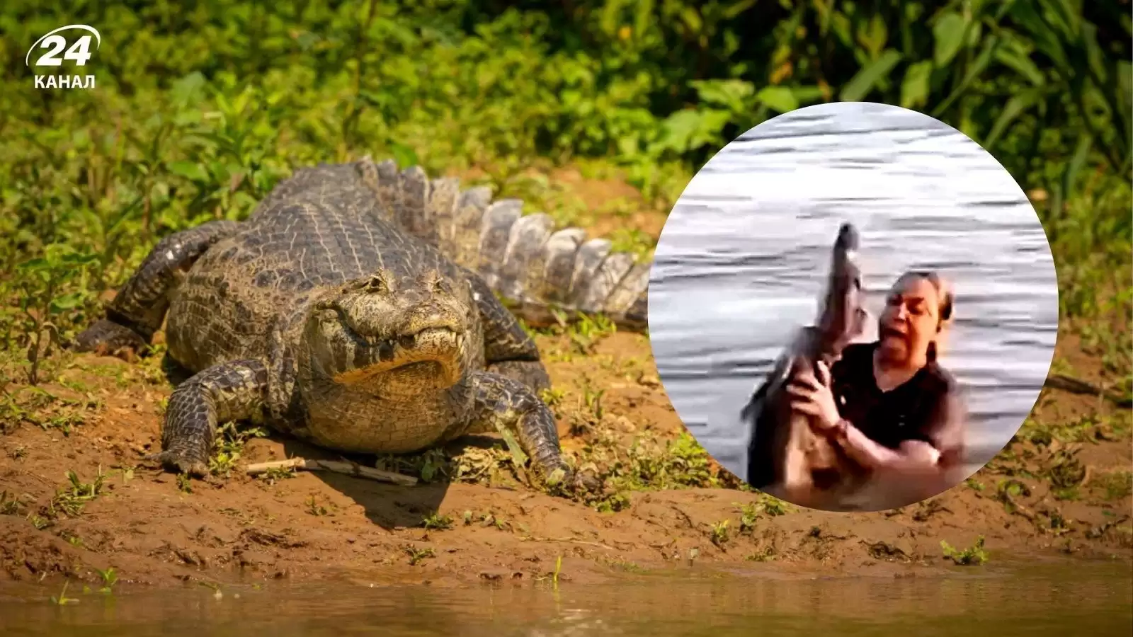 Жінка дістала з води дивний об’єкт з дерева - і не змогла повірити очам: що то було