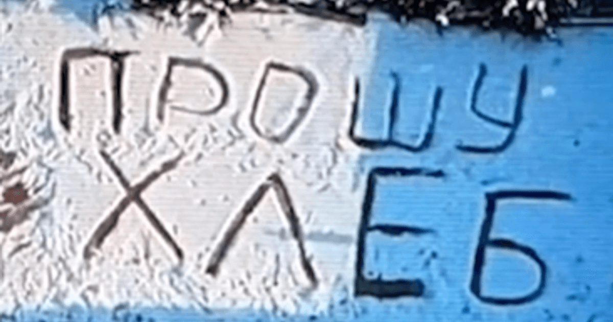 "Прошу хлеба": пилот ВСУ необычным способом помог пожилой женщине из Константиновки (видео)