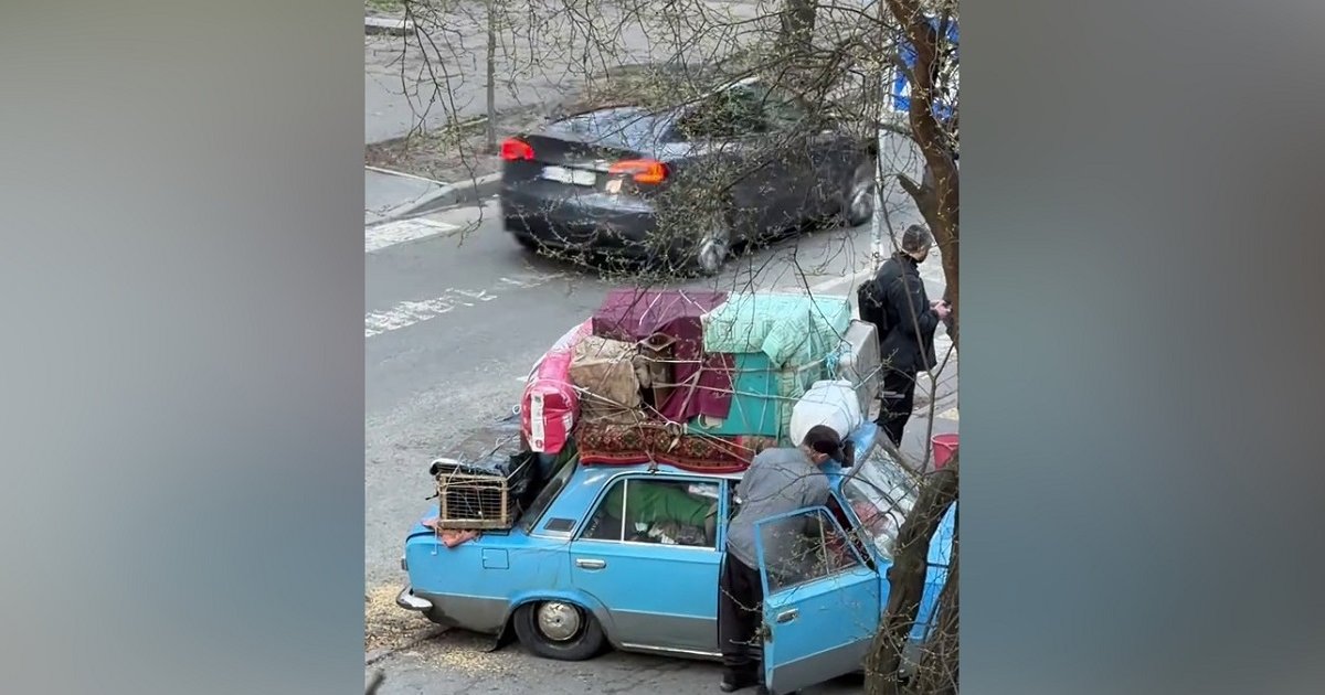 "18 кур и собака в авто": в центре Киеве прохожие и полиция помогли переселенцу с Донбасса (видео)