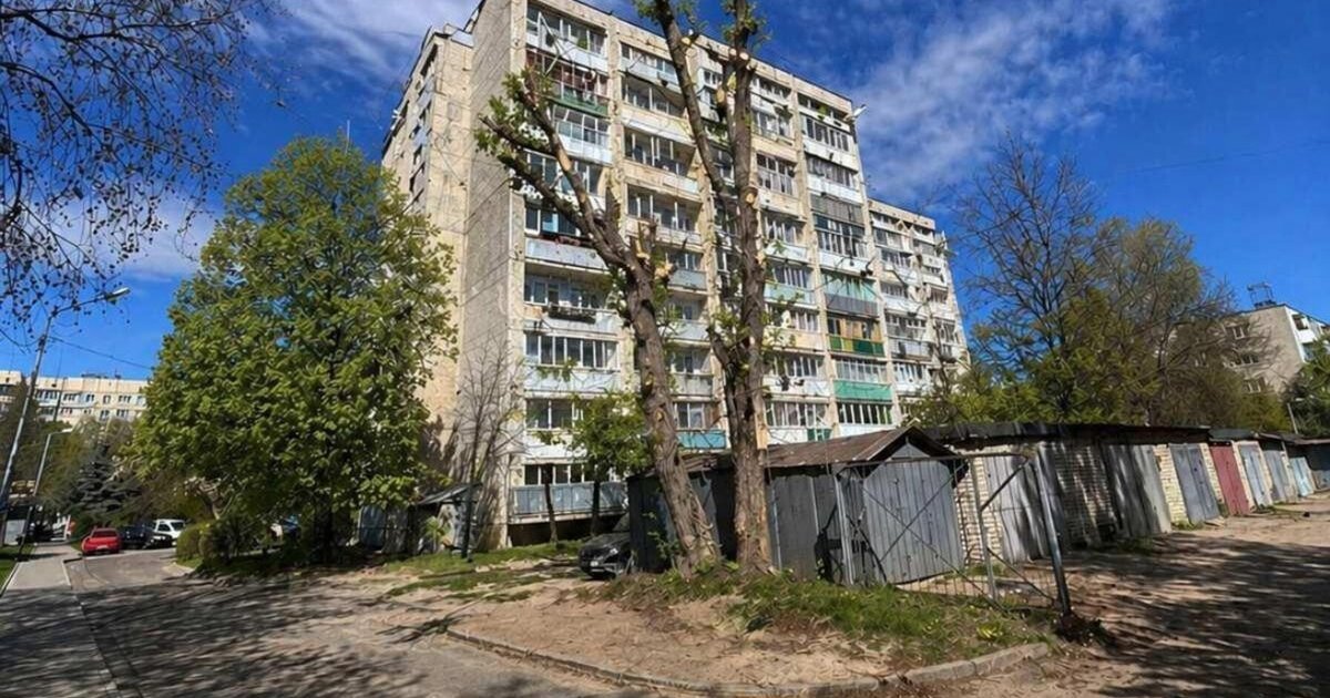Во Львове сгенерировали фотоотчет работы в ИИ: в горсовете отреагировали на скандал с деревом (фото)