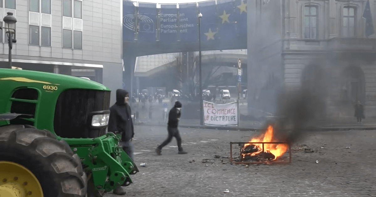 В Брюсселе фермеры устроили протесты с привлечением почти 1000 тракторов: что происходит и почему (фото)