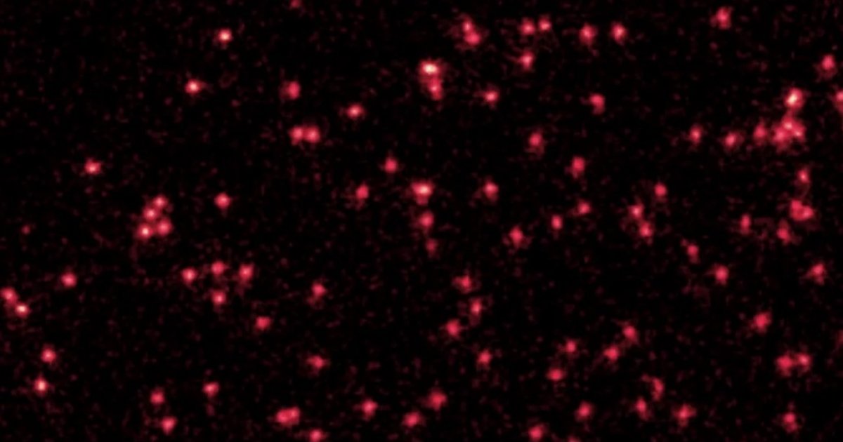 Впервые получено изображение превращения одиночных атомов в квантовые волны (фото)