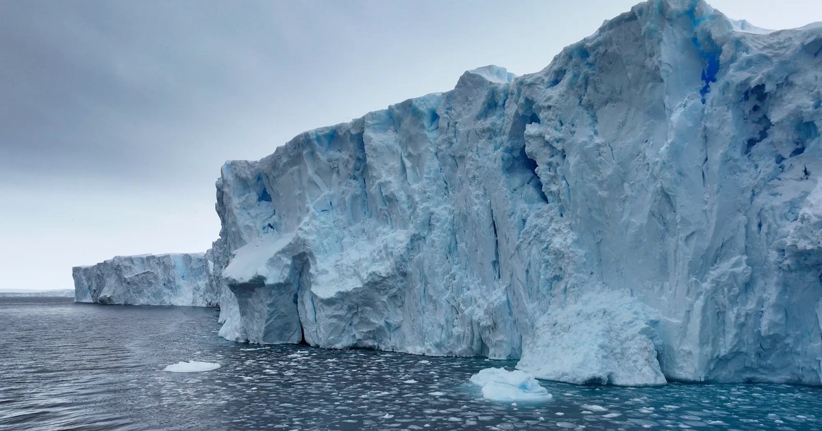 В Антарктиде способно выжить лишь одно насекомое: его застукали за поеданием пластика (фото)