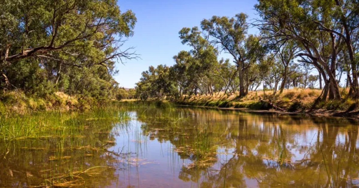 Самая древняя в мире река существует уже 400 миллионов лет: где она находится (фото)
