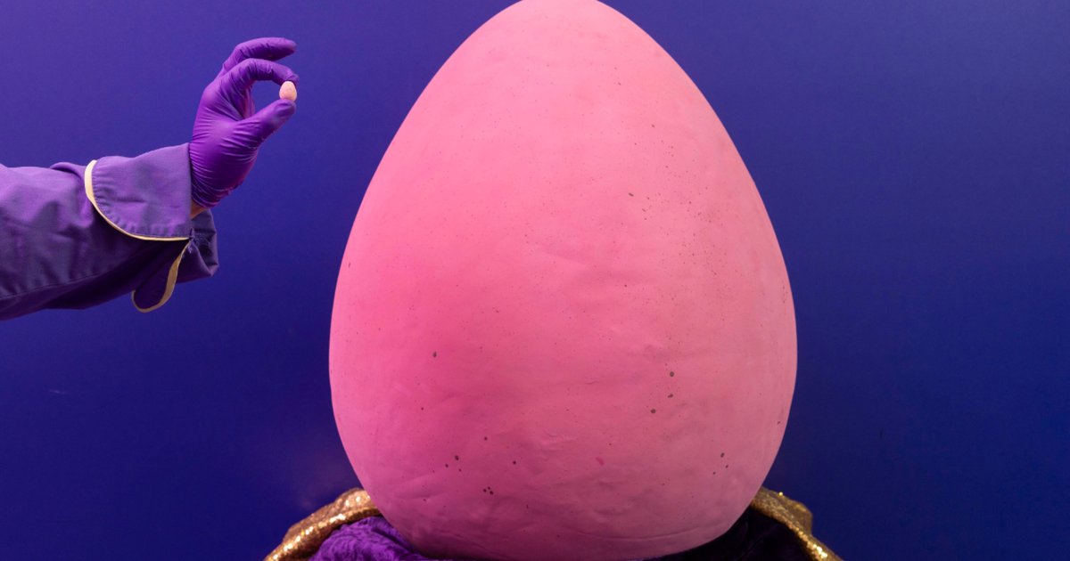 Весит столько же, сколько и страус эму: создано самое большое в мире мини-яйцо Cadbury (фото)