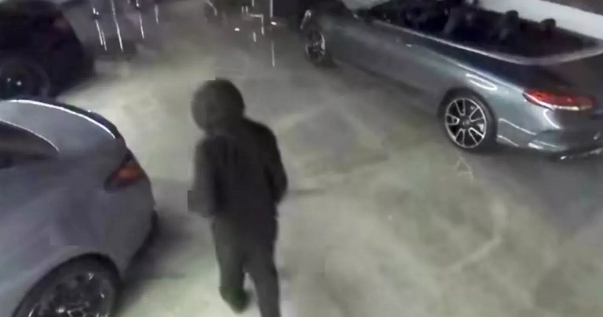Дерзкое преступление: элитные авто на $1,5 миллиона похитили прямо из автосалона (видео)
