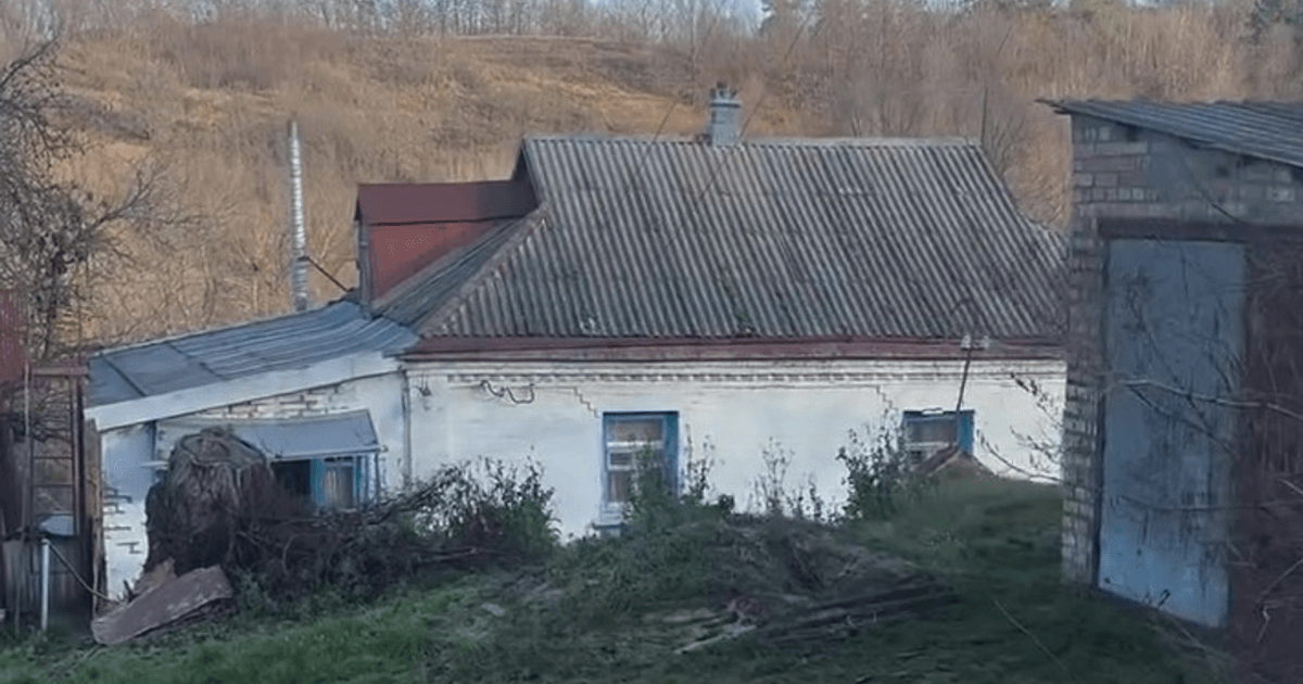 "Пейзажи, как в Карпатах": украинка купила гнилой дом в селе под Киевом