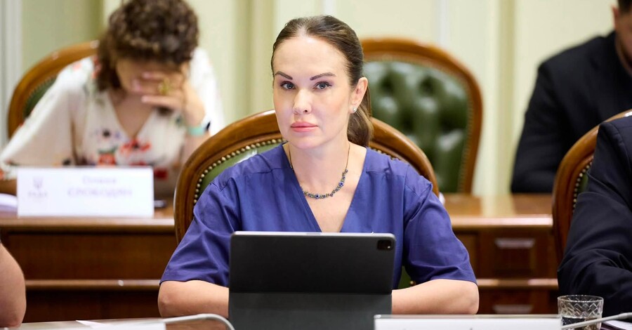 Экс-зама главы Офиса президента Ирину Мудрую задержали