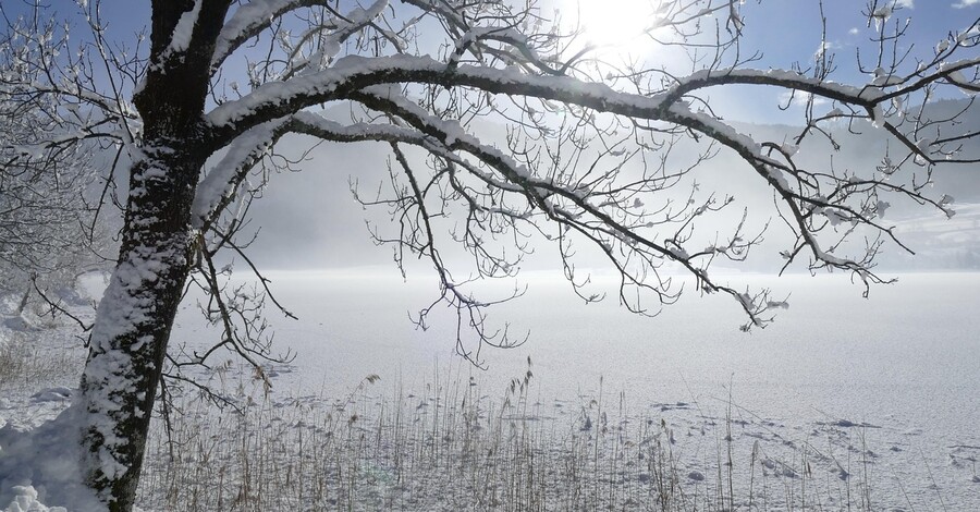 Погода в Украине 23 ноября: ряд областей накроет мокрый снег