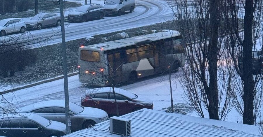 В Киеве выпал первый снег
