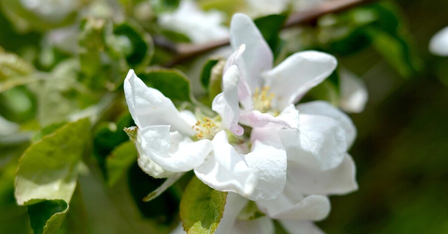 В Украину возвращаются морозы и дожди - погода 17 марта