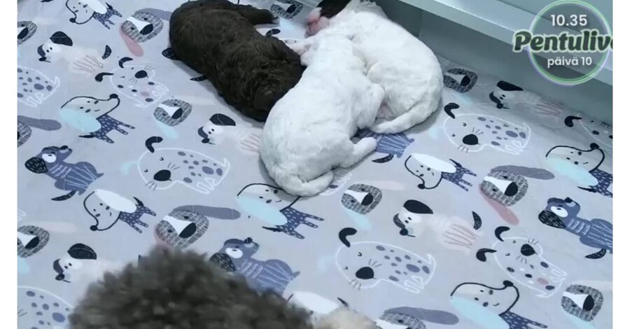 news-image
