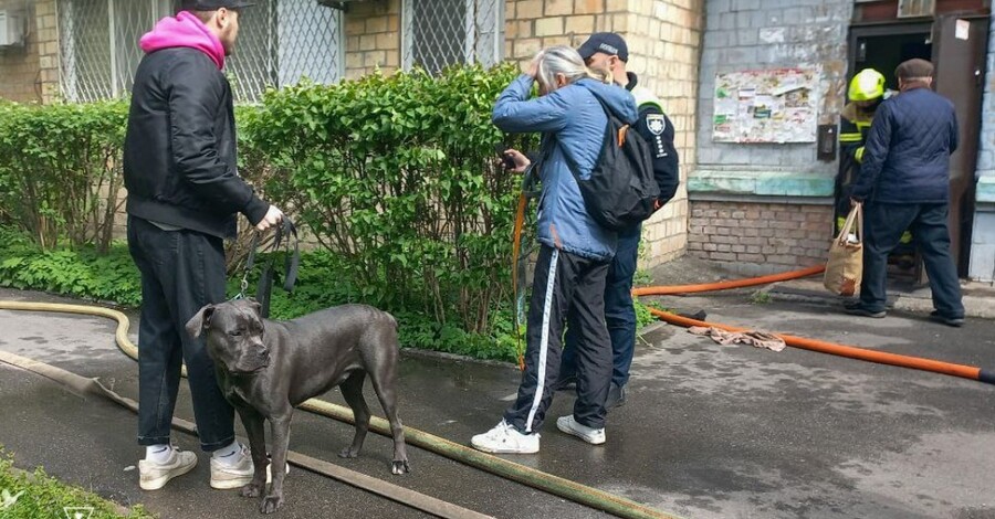 В Киеве спасатели вынесли из горящей квартиры более десяти собак и котов