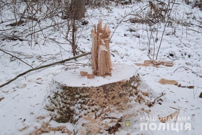 На Тернопільщині спіймали чоловіка, який незаконно заготовляв деревину