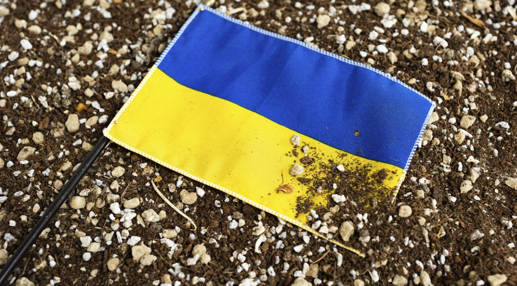 Трофей ціною честі: Чоловік викрав прапори з могили героя і заплатить за це