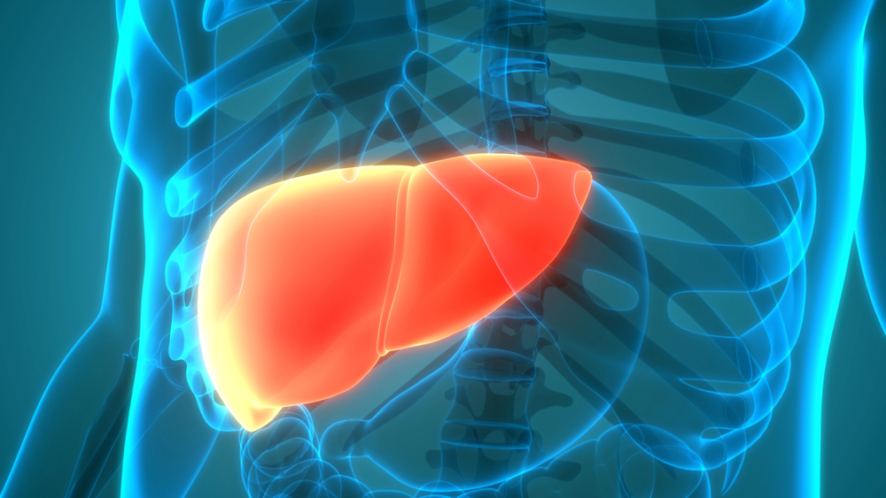 Важливо перед святами: як зрозуміти, що у вас уже проблеми з печінкою