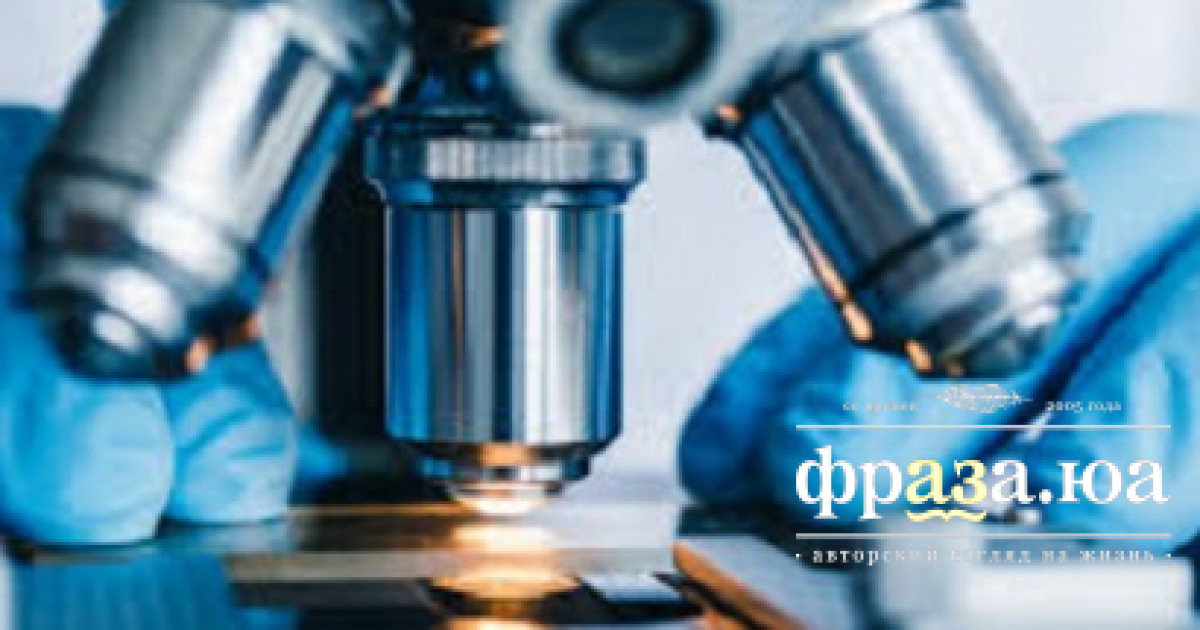 В Шотландии найден гриб, которому 407 миллионов лет