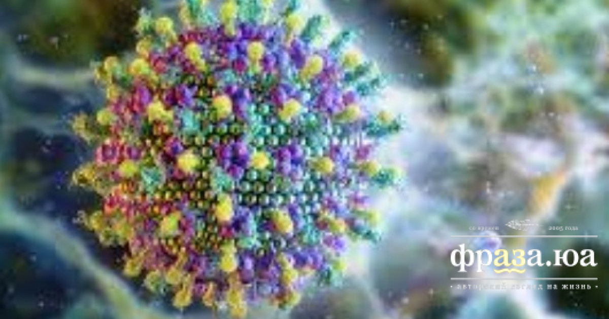 Создана вакцина против вируса Нипах