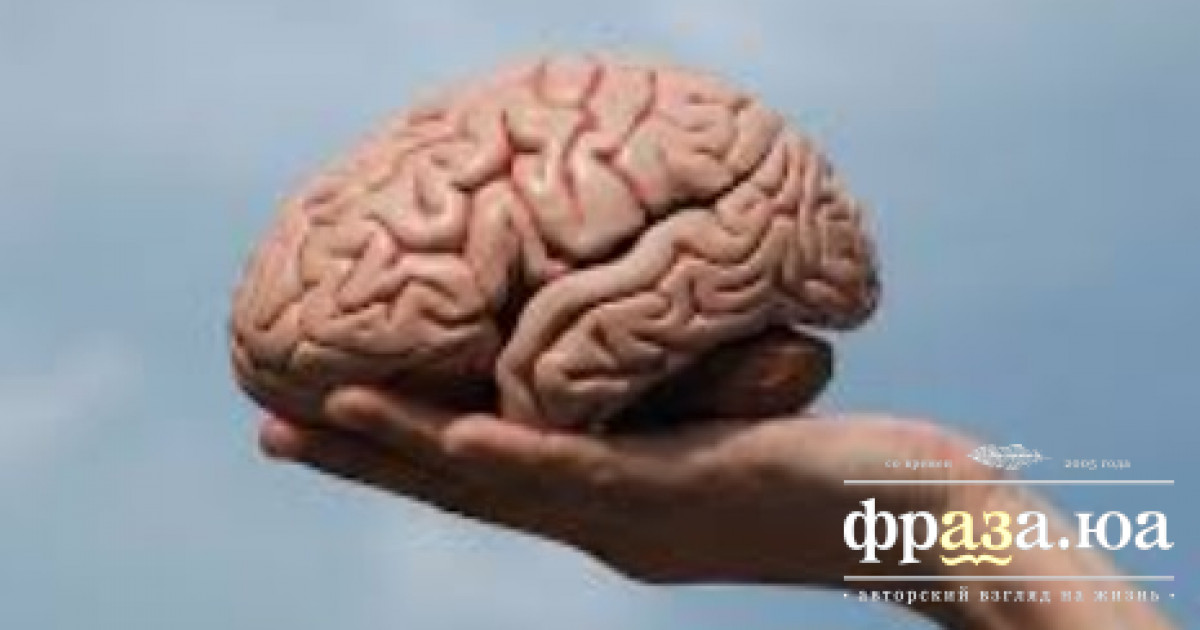 Ученые поведали, как легко омолодить мозг