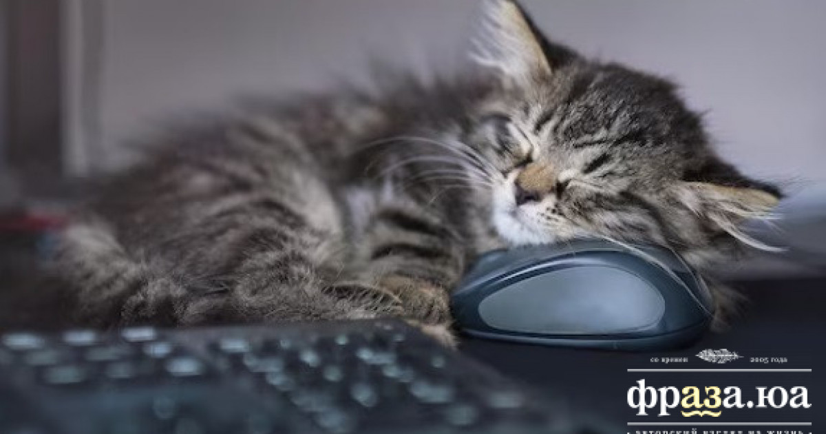 news-image