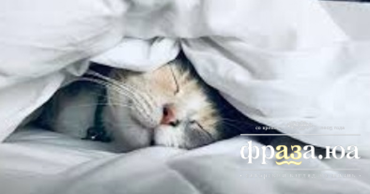 Ученые создали… архив снов