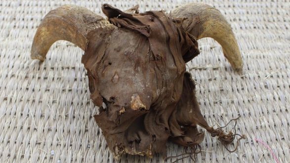 Исследователи раскопали 2000 бараньих голов в египетском храме