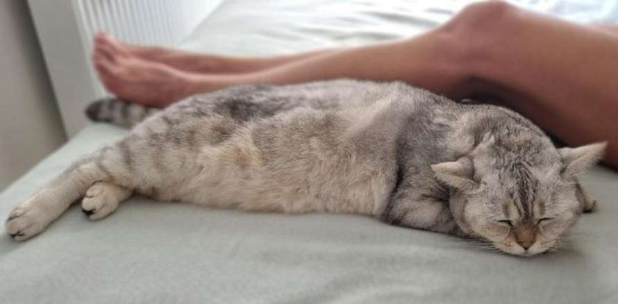 Как температура в спальне влияет на сердце, выяснили ученые