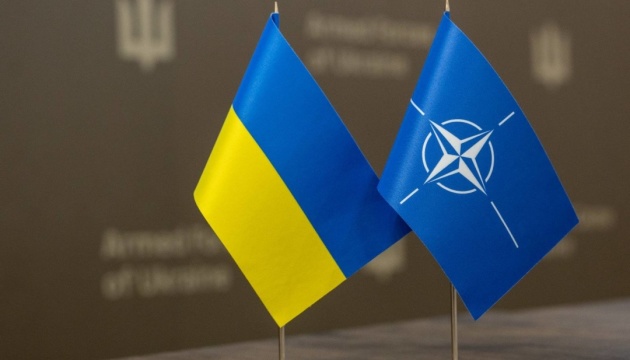 Федоров і Рютте синхронізували пріоритети перед наступним «Рамштайном»