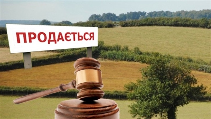 На Закарпатті стартують земельні аукціони: понад 250 ділянок виставлено для купівлі та оренди