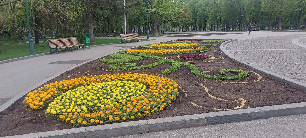 Какие клумбы будут в центре Харькова: коммунальщики показали первые фото