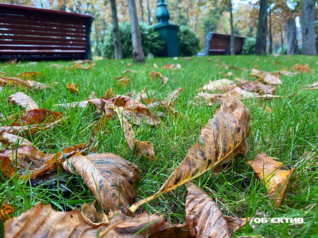 Опасная погода будет сегодня в Харькове и области – подробности