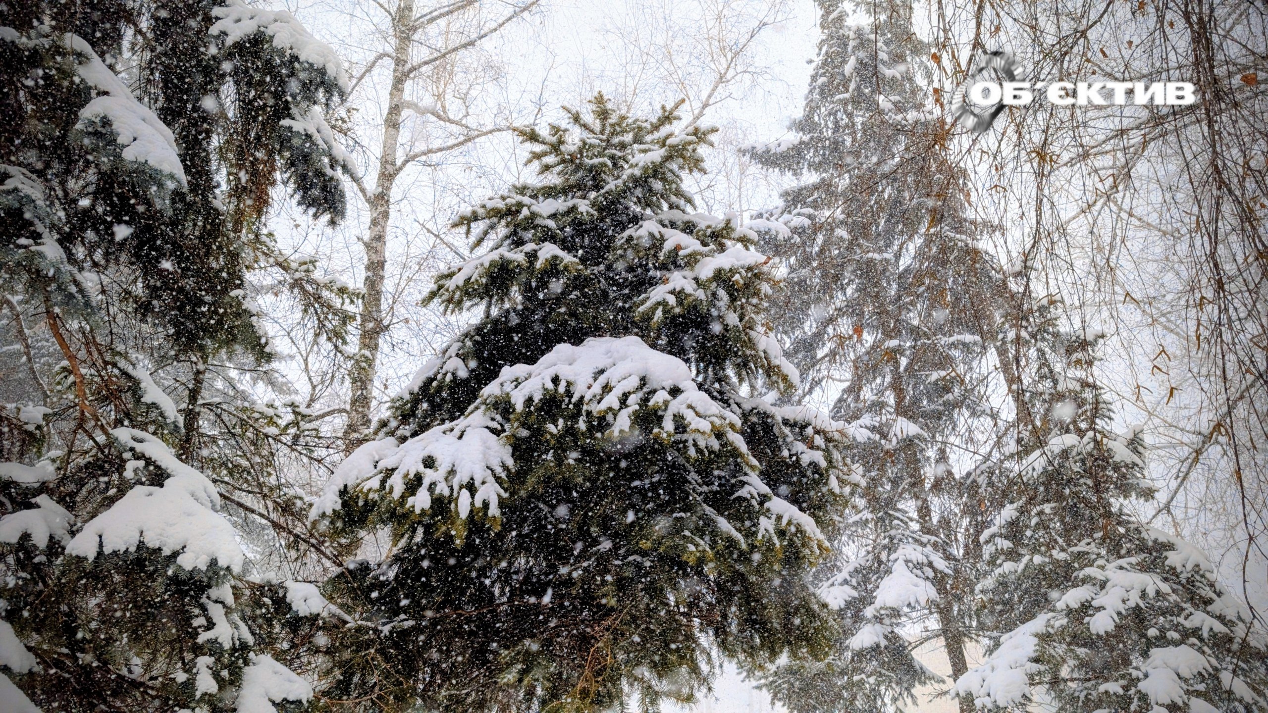 Какой будет погода в Харькове и области в воскресенье: прогноз на 11 января