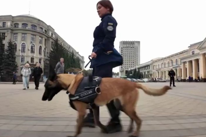 В Харькове служебная собака получила награду (видео)