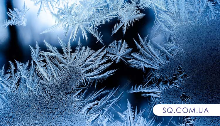 В Харькове выпал первый снег