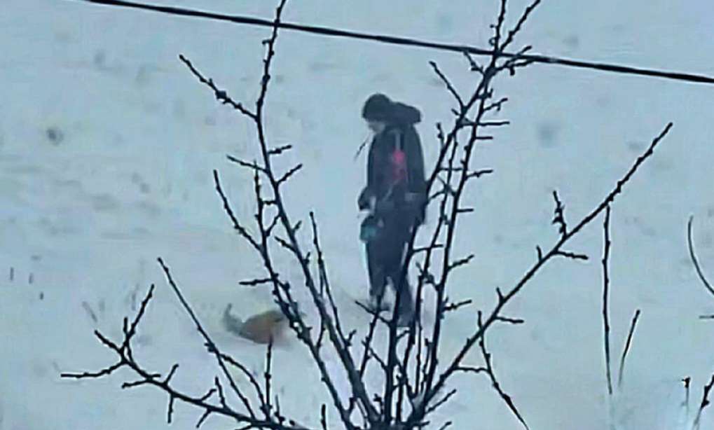 В Харькове юноша издевался над собакой (видео)