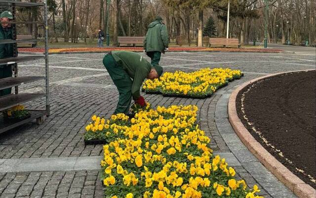В центре Харькова начали высаживать цветы (фото)