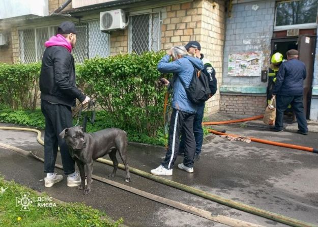 Из горящей квартиры в Киеве спасли животных (видео)