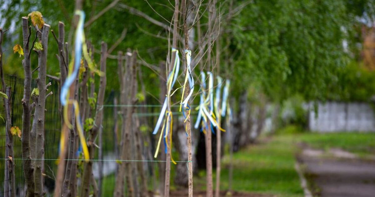 У Франківську посадили близько 175 дерев у пам'ять про загиблих воїнів