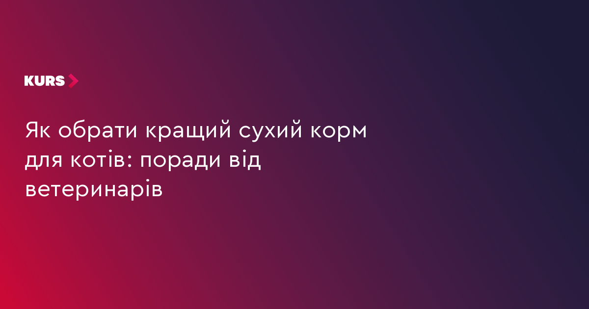 Як обрати кращий сухий корм для котів: поради від ветеринарів