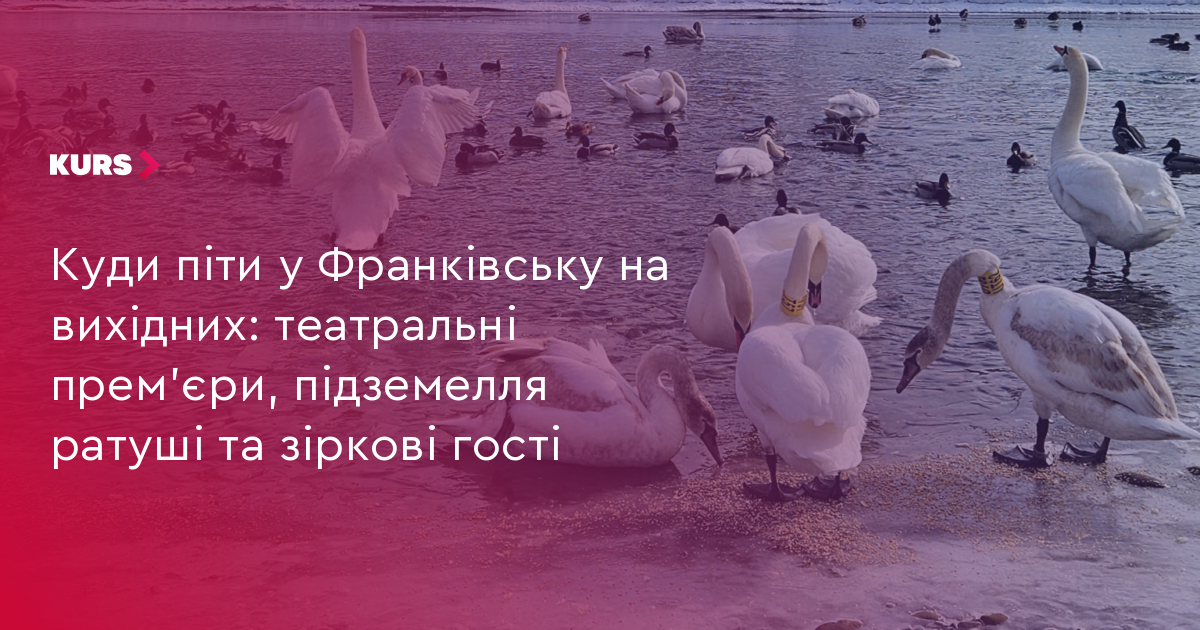 Куди піти у Франківську на вихідних: театральні прем’єри, підземелля ратуші та зіркові гості
