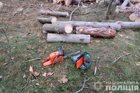 На Роменщині чоловік незаконно нарубав дерев на 45 тисяч гривень
