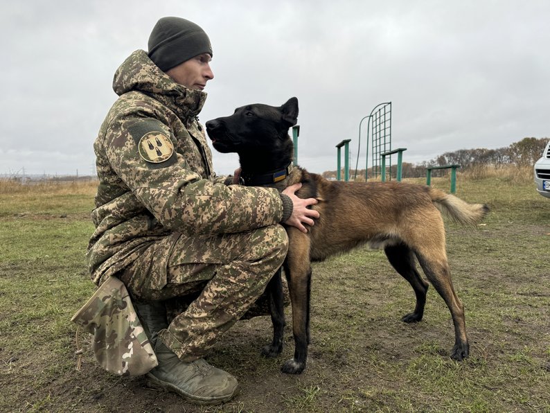 “Ростив, соціалізував, привчав”. Як на Сумщині тренують собак-детекторів