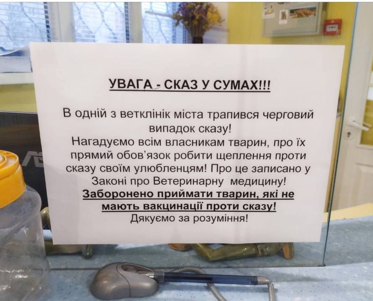 У ветеринарній клініці Сум стався випадок сказу