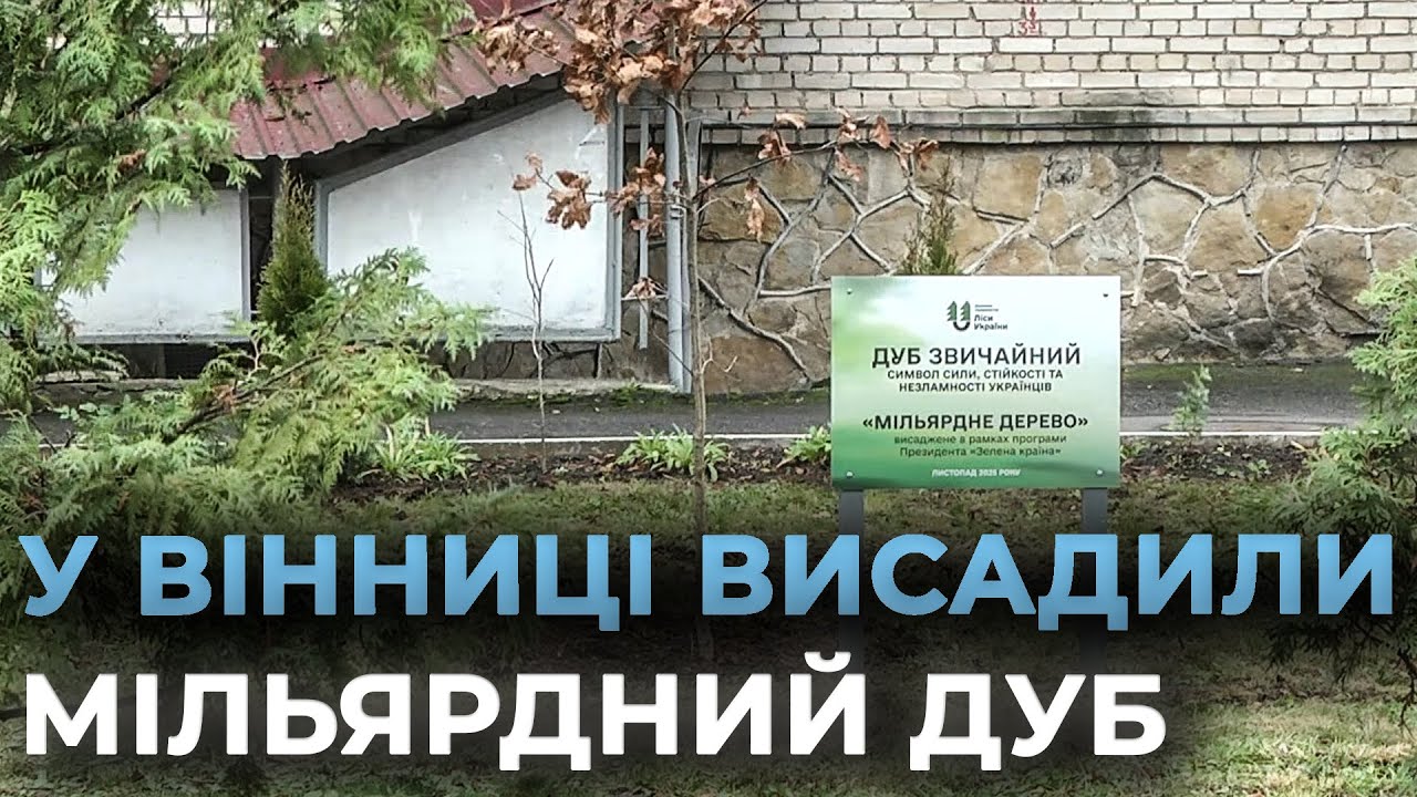 ДУБ СИЛИ ТА СТІЙКОСТІ: у Вінниці висадили мільярдне дерево програми "Зелена країна"